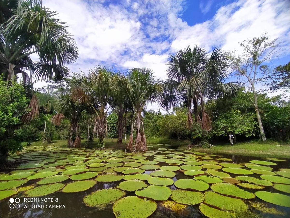Jacamar Lodge Expeditions Iquitos Exterior foto